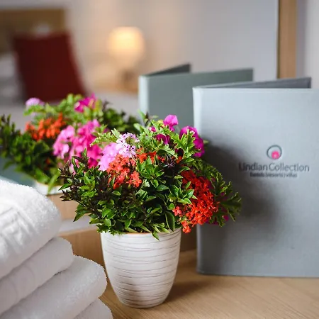 Apartment Meandros Suites